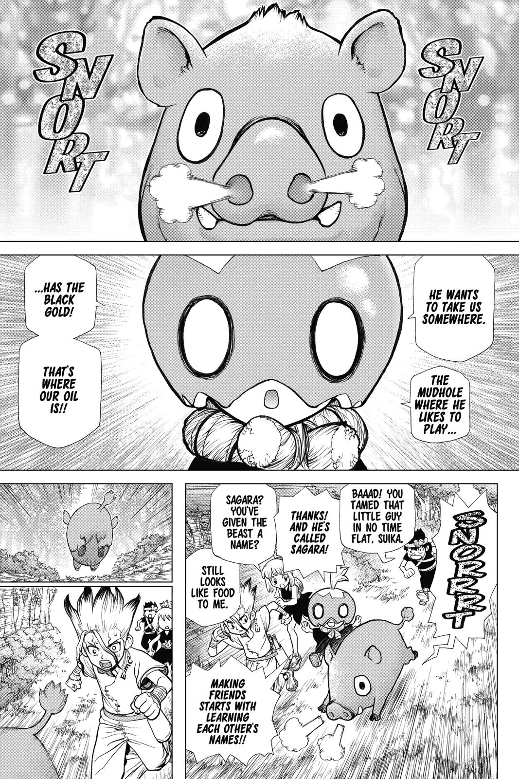 Read Dr. STONE ENGLISH Manga Online