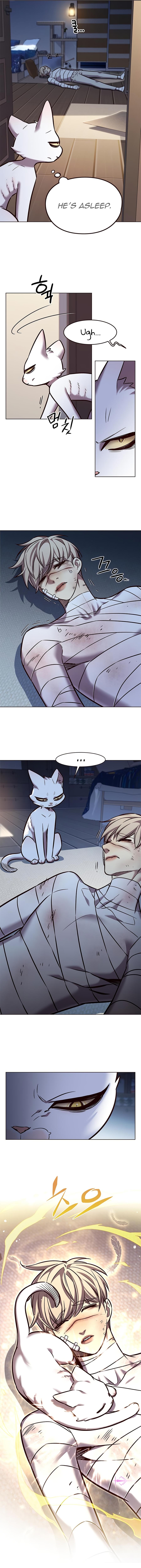 Read Eleceed ENGLISH Manga Online