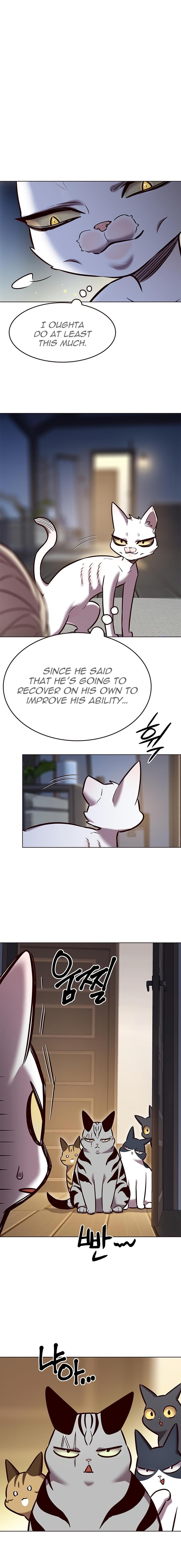 Read Eleceed ENGLISH Manga Online