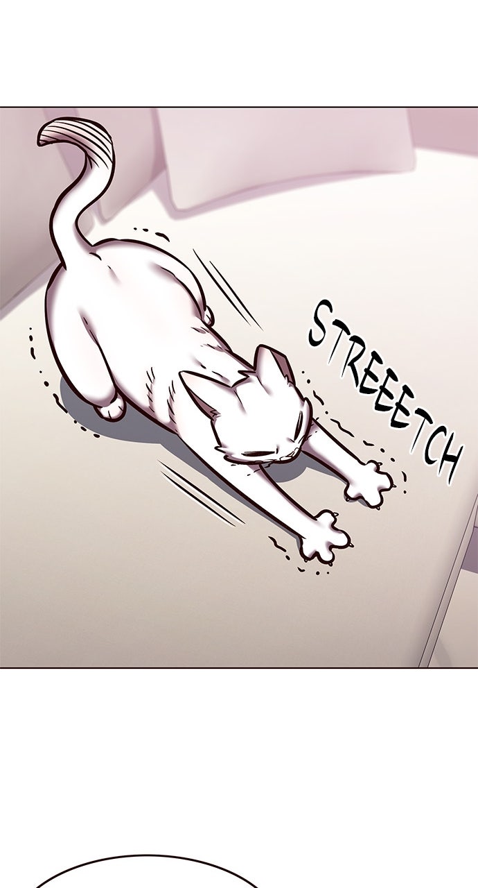 Read Eleceed ENGLISH Manga Online