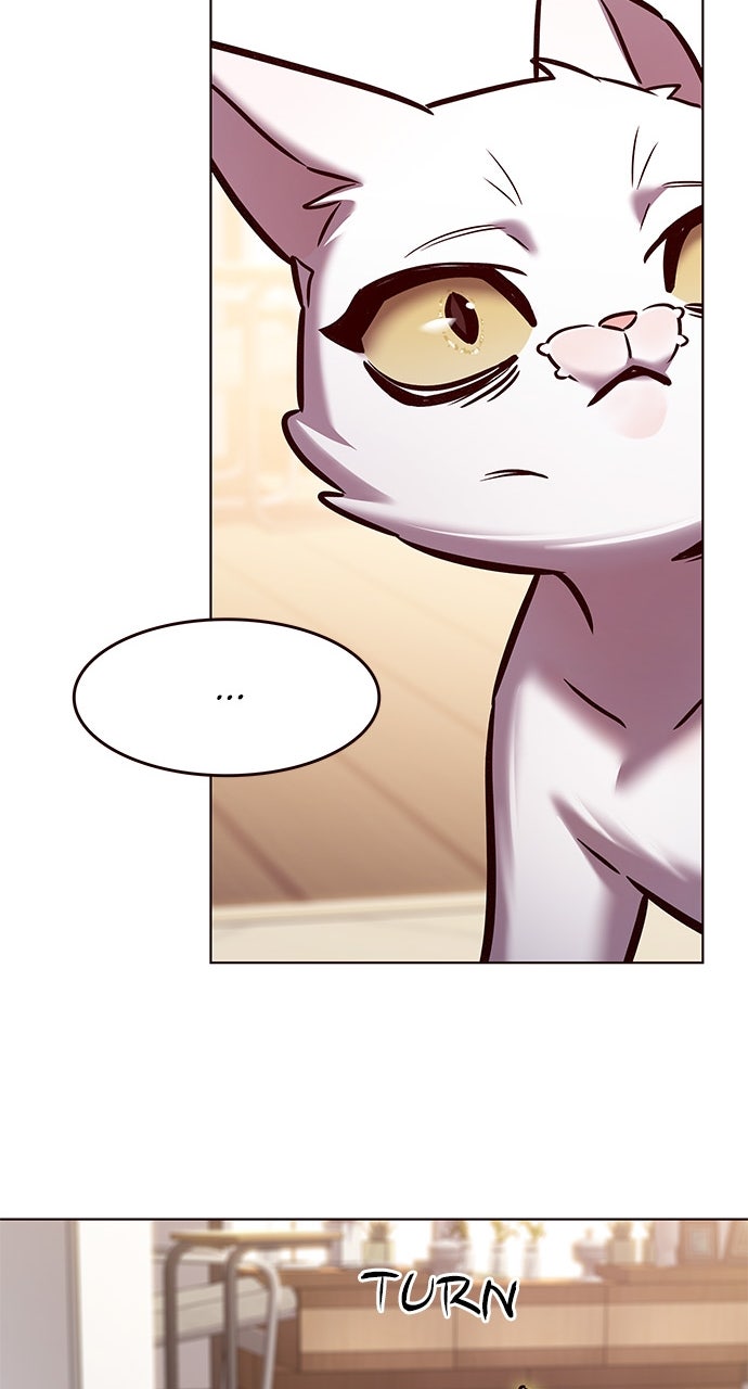 Read Eleceed ENGLISH Manga Online