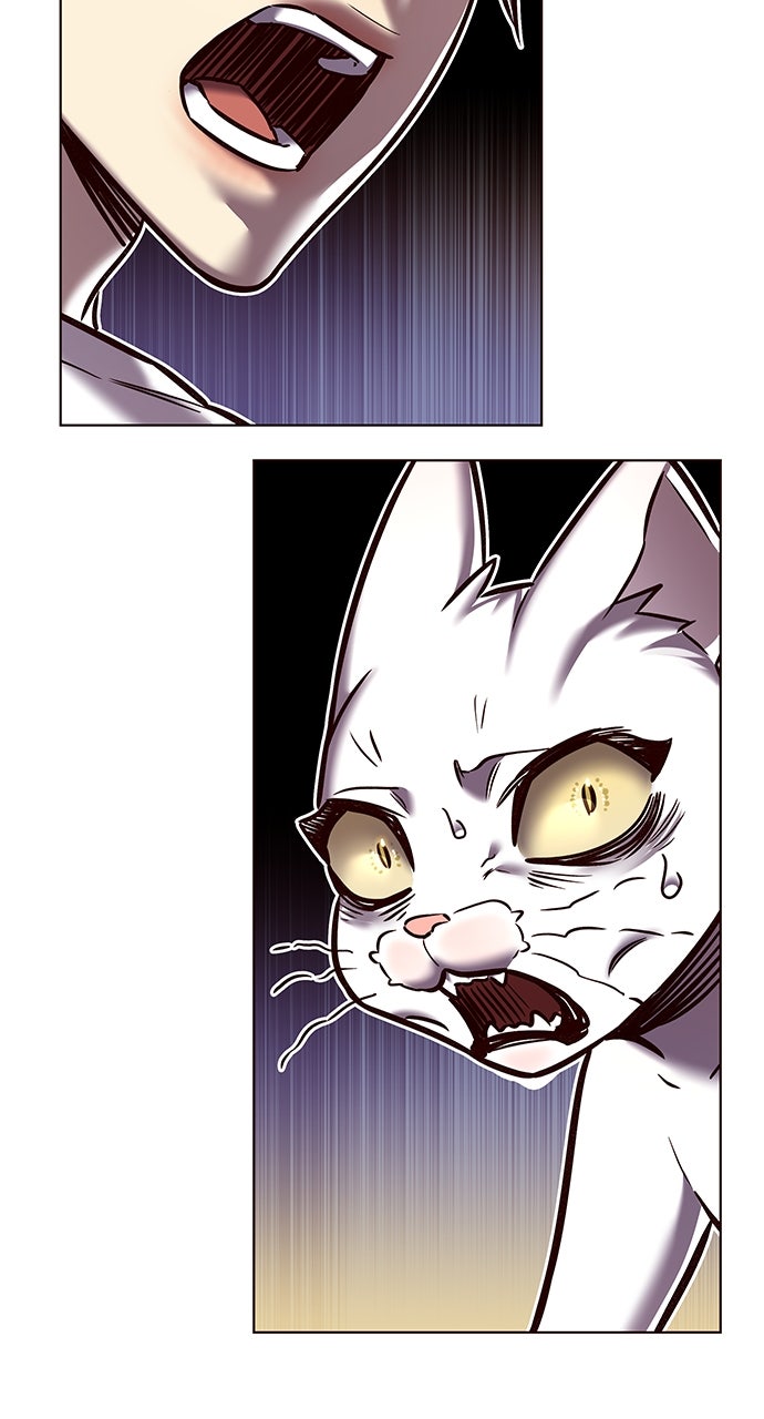 Read Eleceed ENGLISH Manga Online