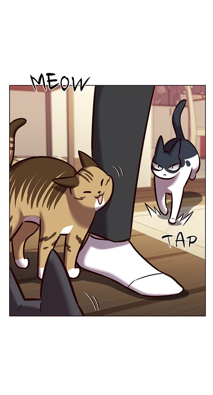 Read Eleceed ENGLISH Manga Online