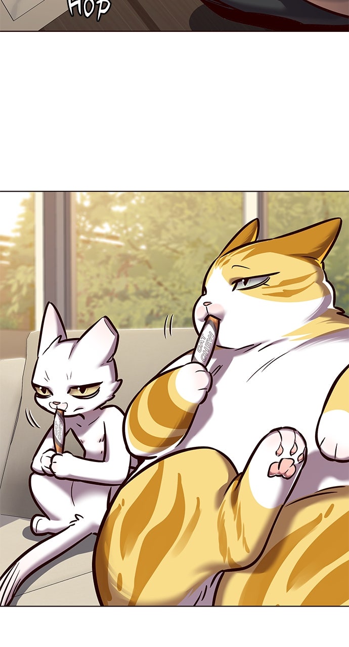 Read Eleceed ENGLISH Manga Online