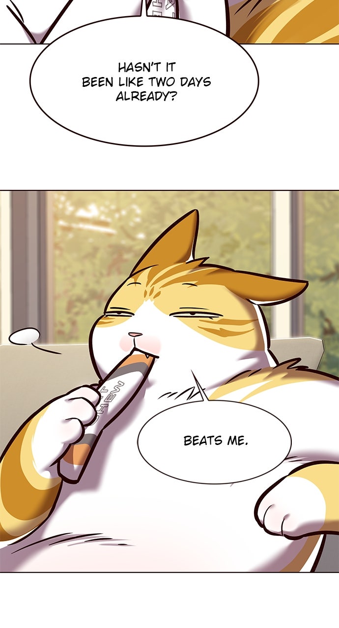 Read Eleceed ENGLISH Manga Online