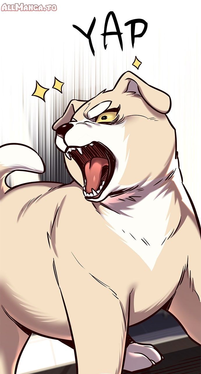 Read Eleceed ENGLISH Manga Online