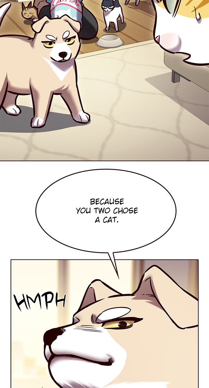 Read Eleceed ENGLISH Manga Online