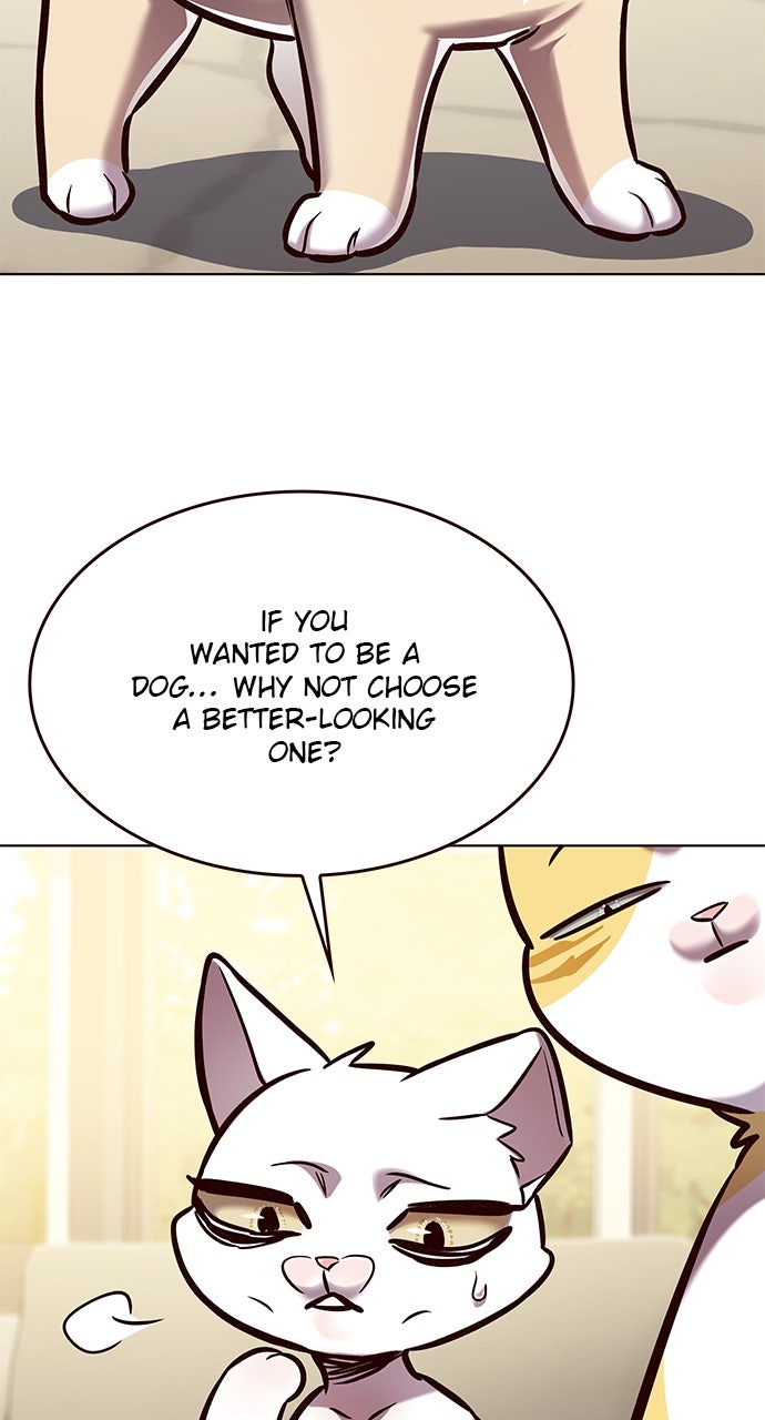 Read Eleceed ENGLISH Manga Online