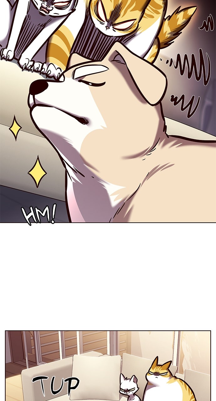 Read Eleceed ENGLISH Manga Online