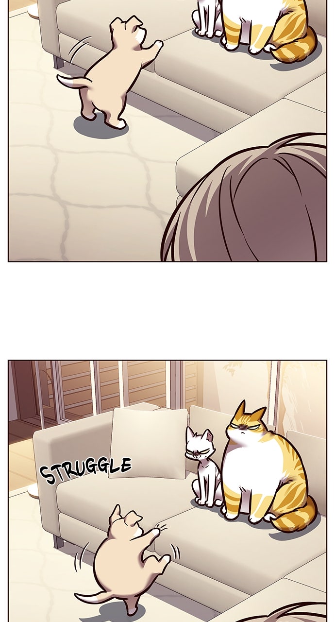 Read Eleceed ENGLISH Manga Online