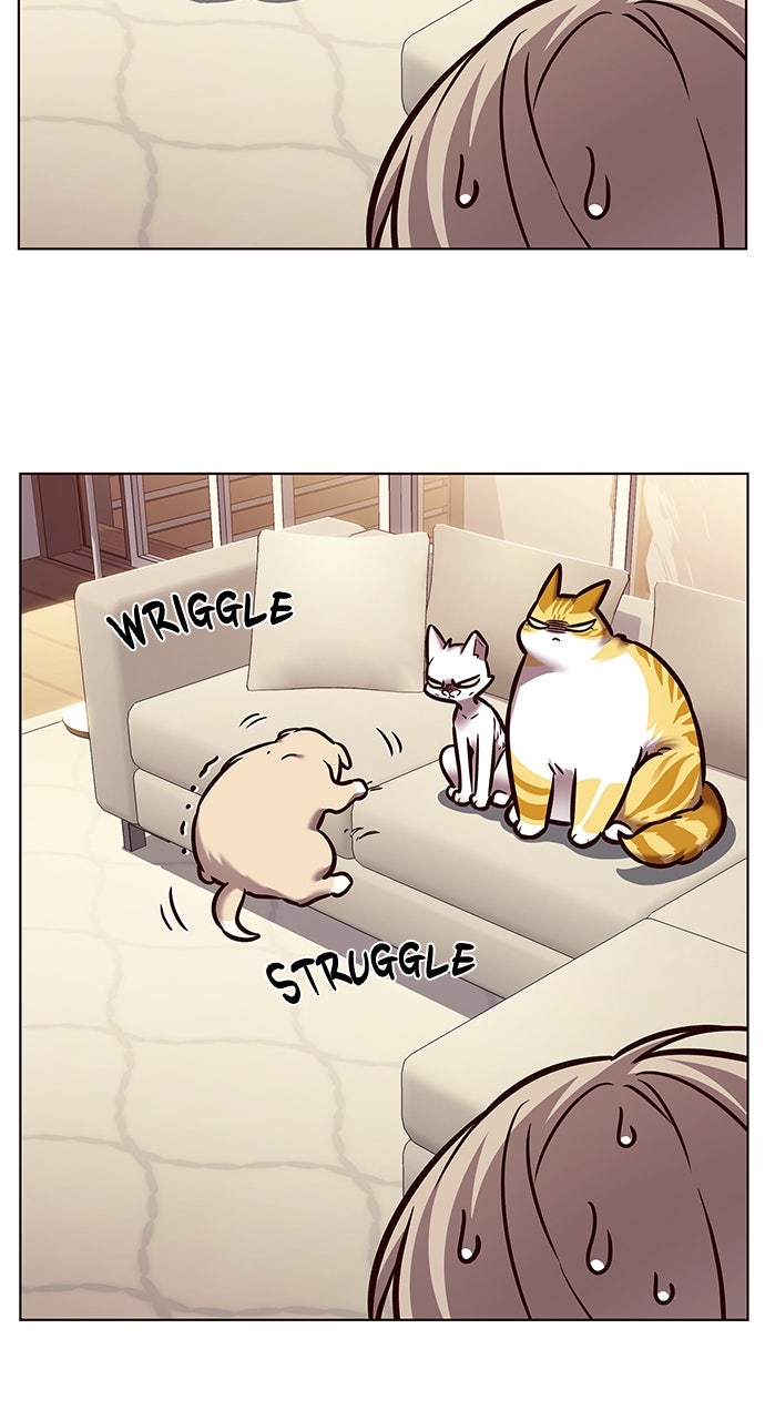 Read Eleceed ENGLISH Manga Online