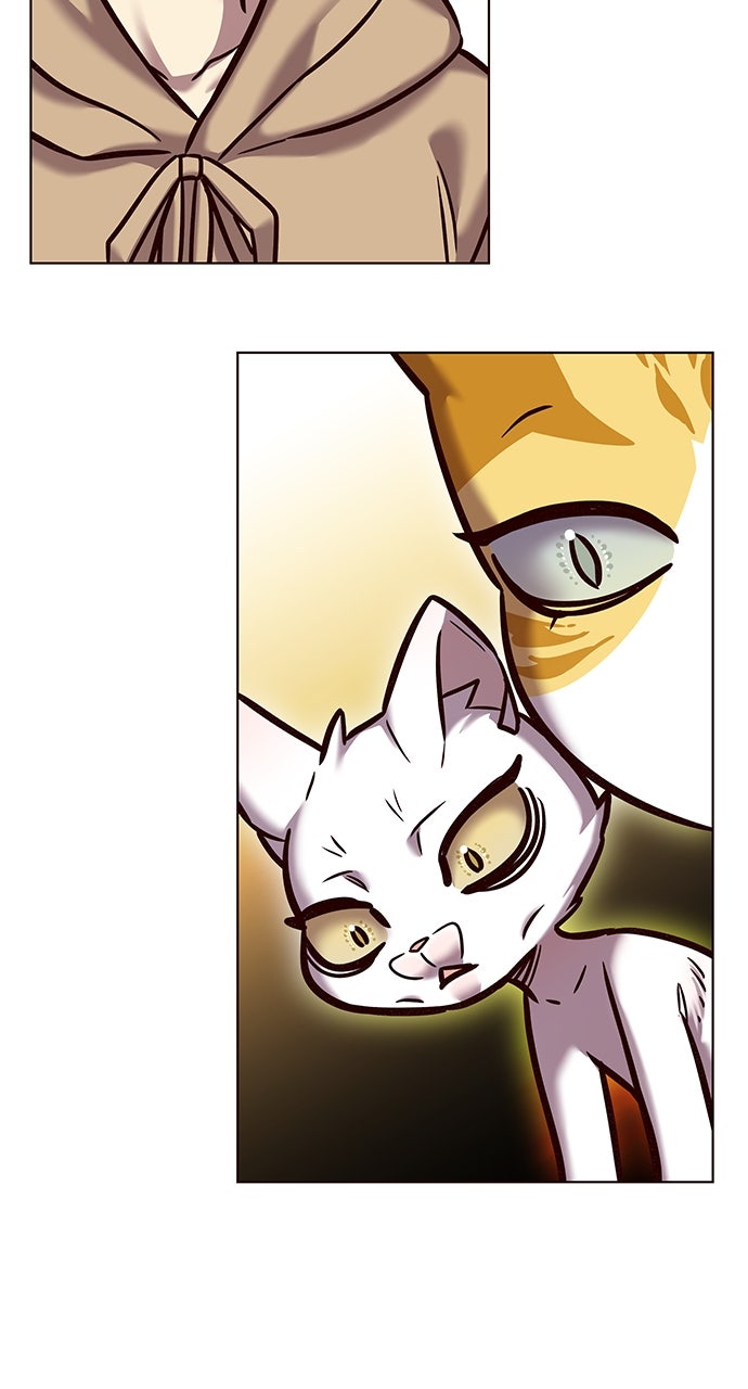 Read Eleceed ENGLISH Manga Online