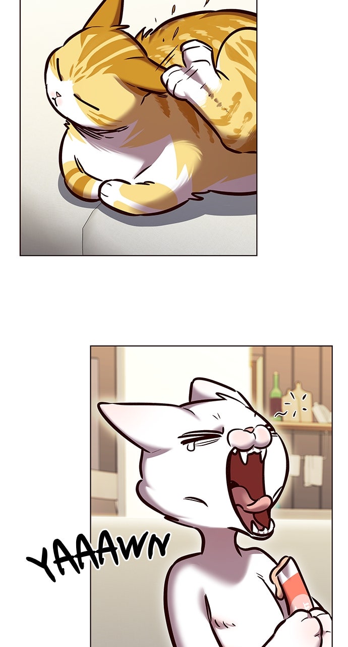 Read Eleceed ENGLISH Manga Online