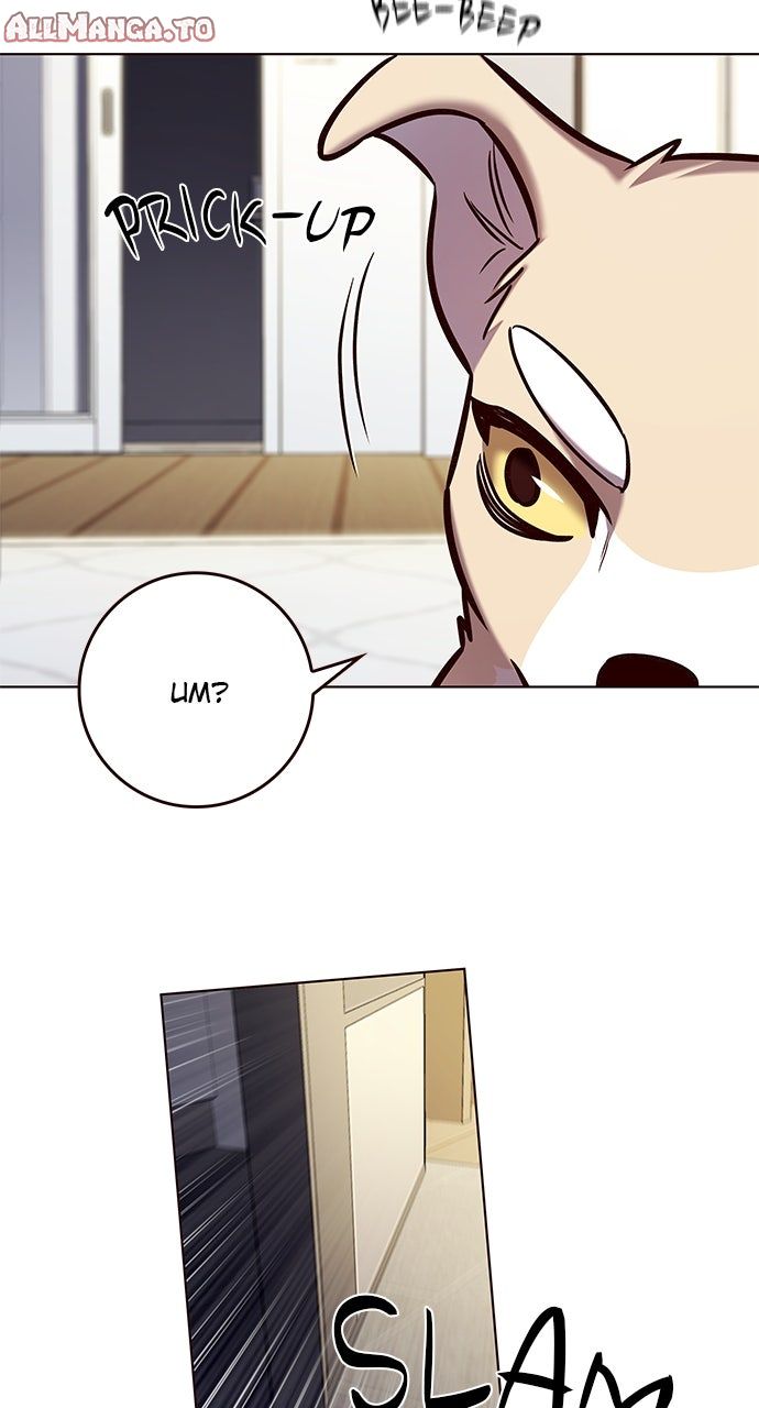 Read Eleceed ENGLISH Manga Online