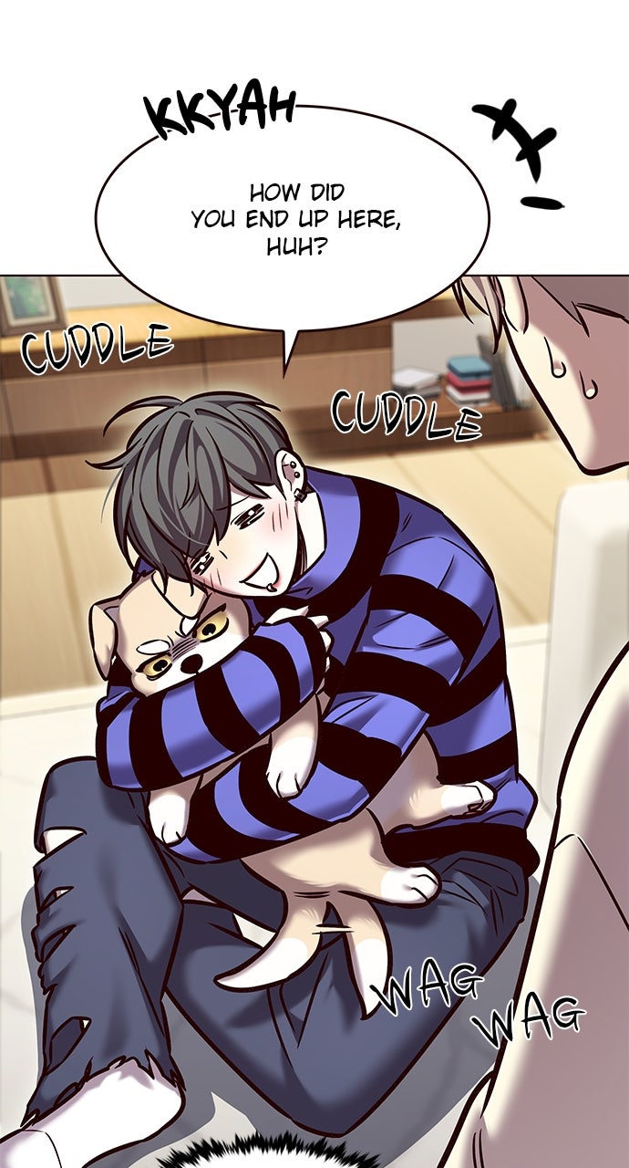 Read Eleceed ENGLISH Manga Online