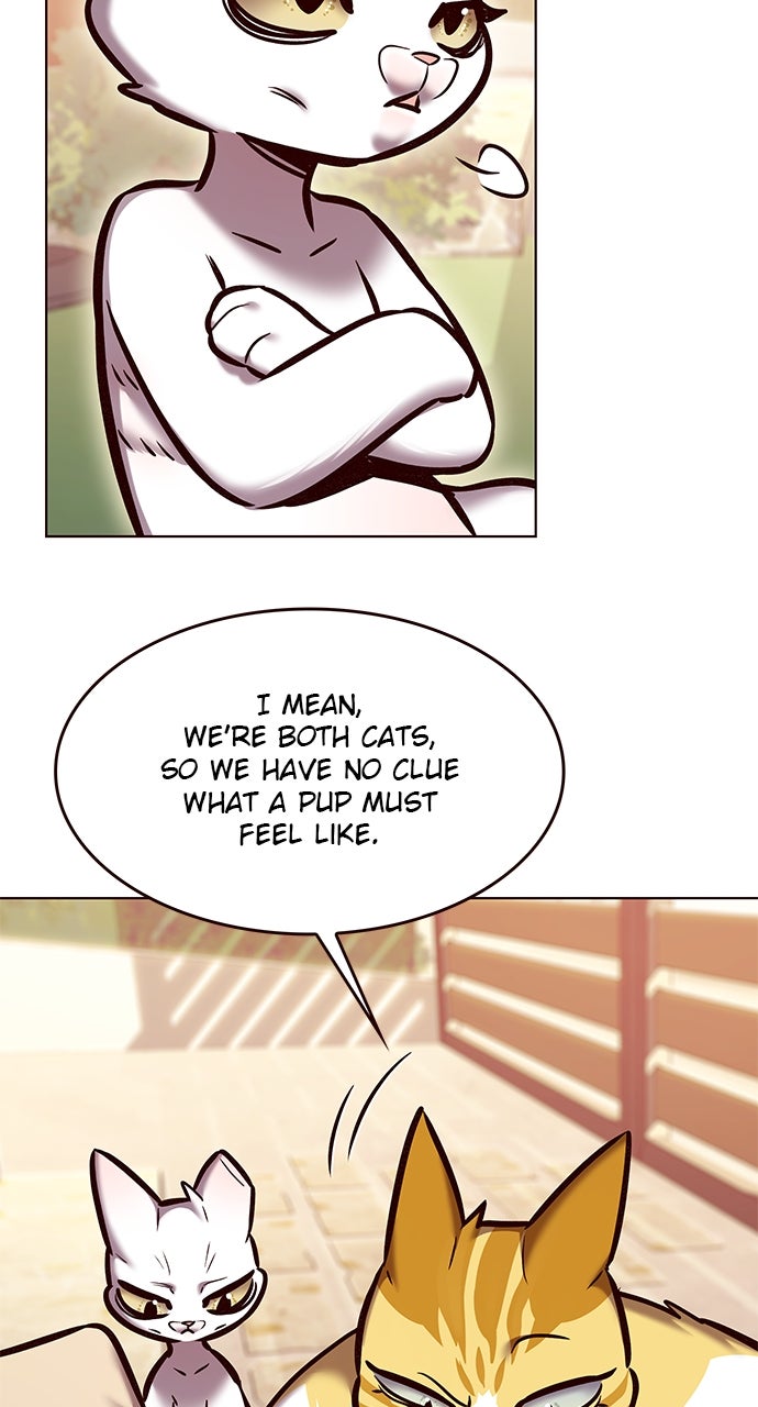 Read Eleceed ENGLISH Manga Online