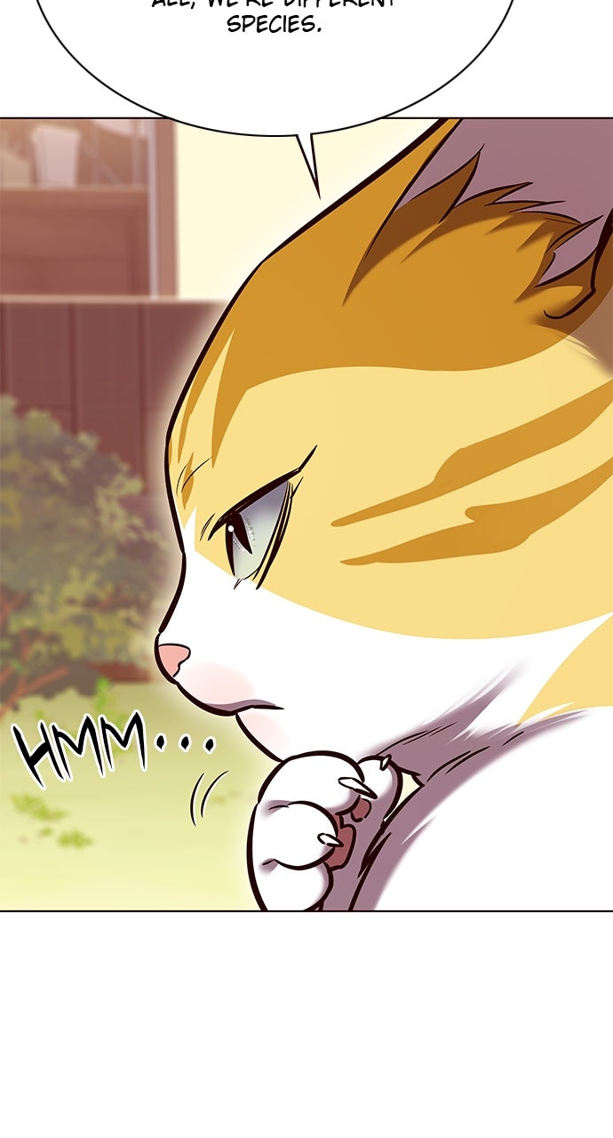 Read Eleceed ENGLISH Manga Online