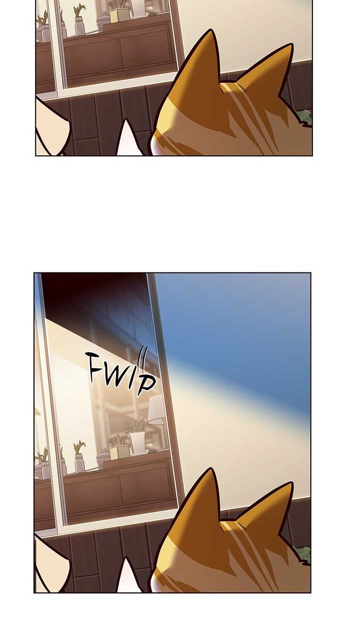 Read Eleceed ENGLISH Manga Online