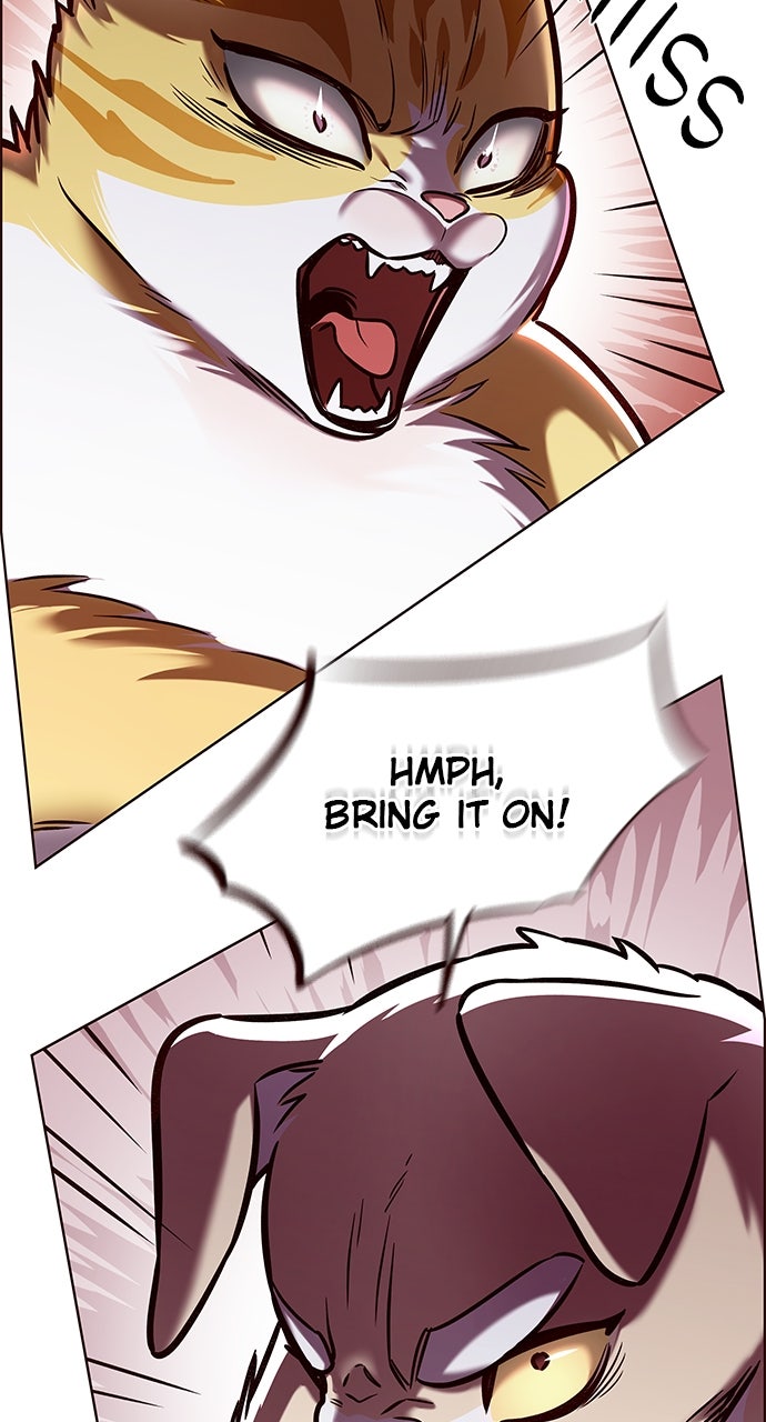 Read Eleceed ENGLISH Manga Online