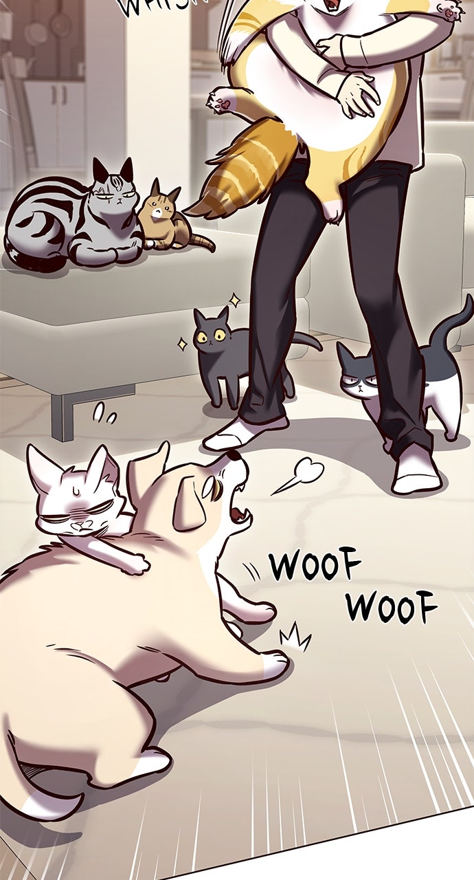 Read Eleceed ENGLISH Manga Online