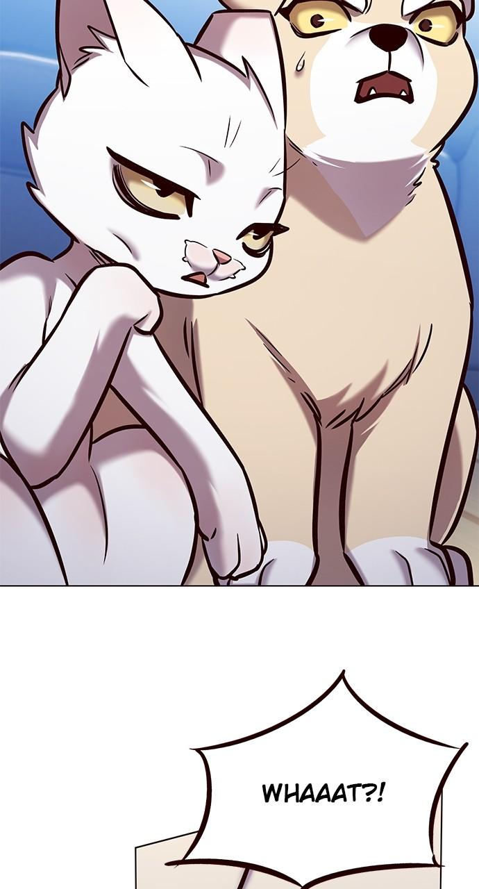 Read Eleceed ENGLISH Manga Online