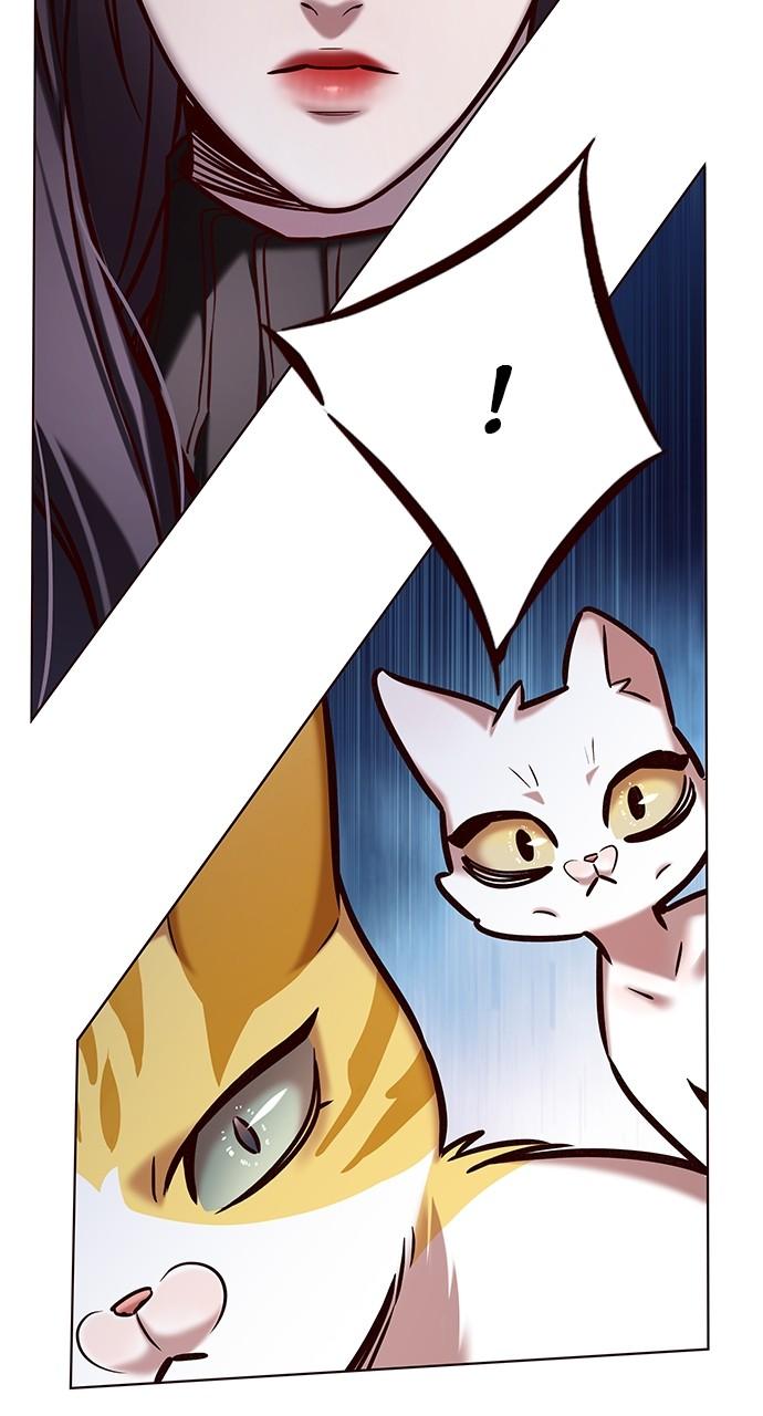 Read Eleceed ENGLISH Manga Online