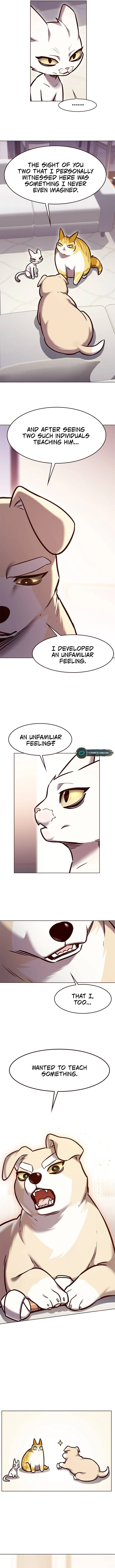 Read Eleceed ENGLISH Manga Online