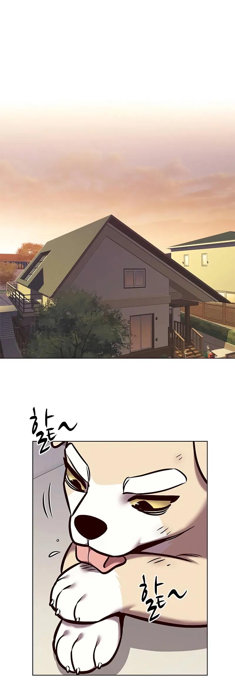 Read Eleceed ENGLISH Manga Online