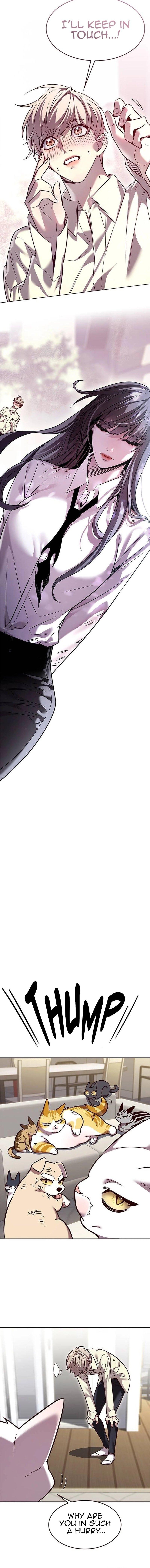 Read Eleceed ENGLISH Manga Online