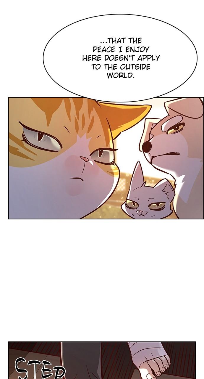 Read Eleceed ENGLISH Manga Online