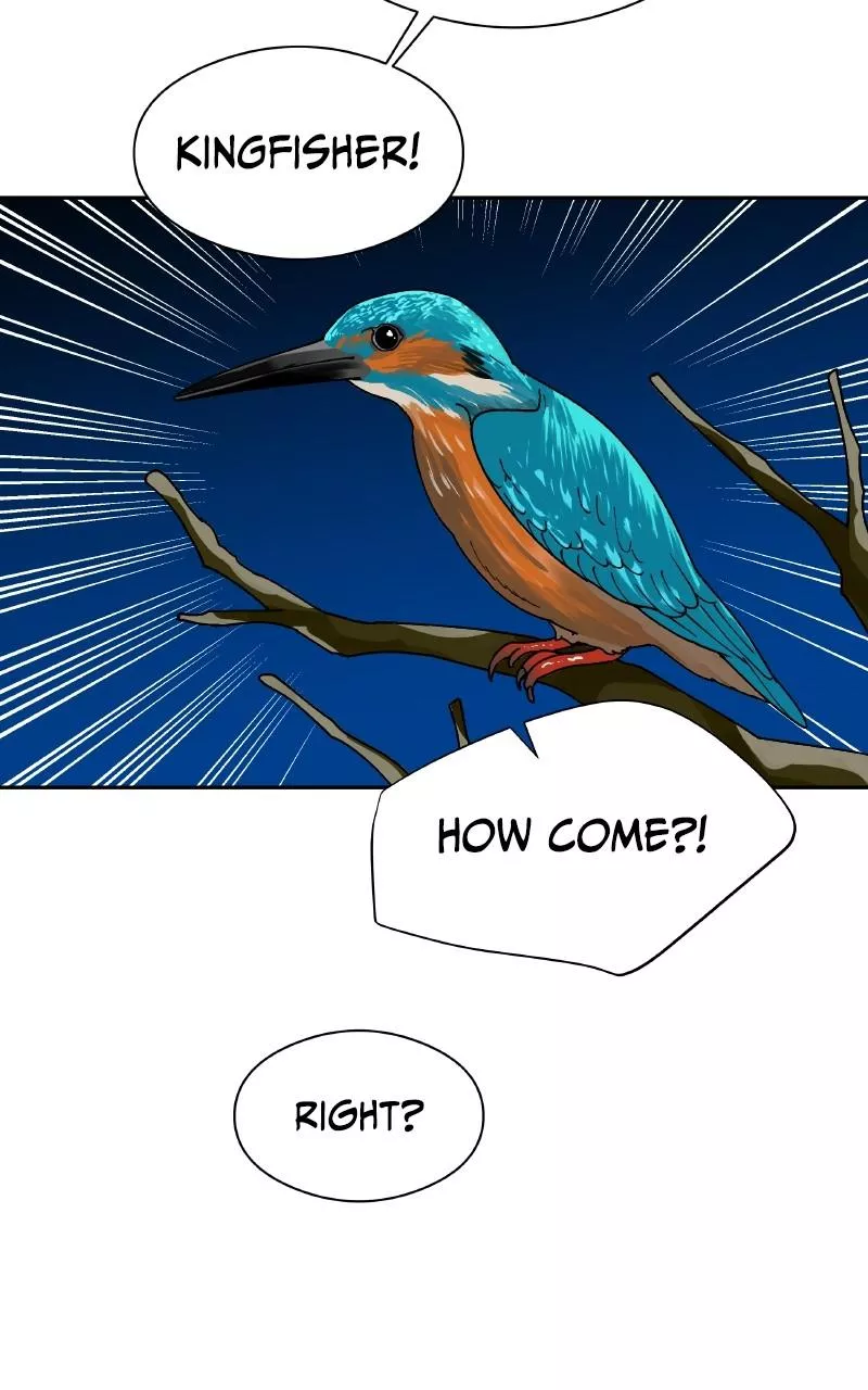 Read False Paradise ENGLISH Manga Online