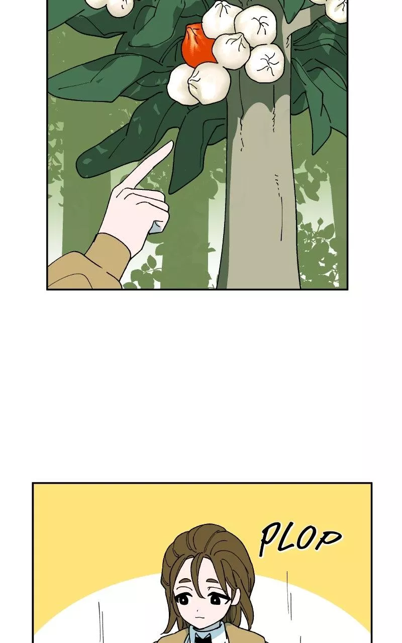 Read False Paradise ENGLISH Manga Online