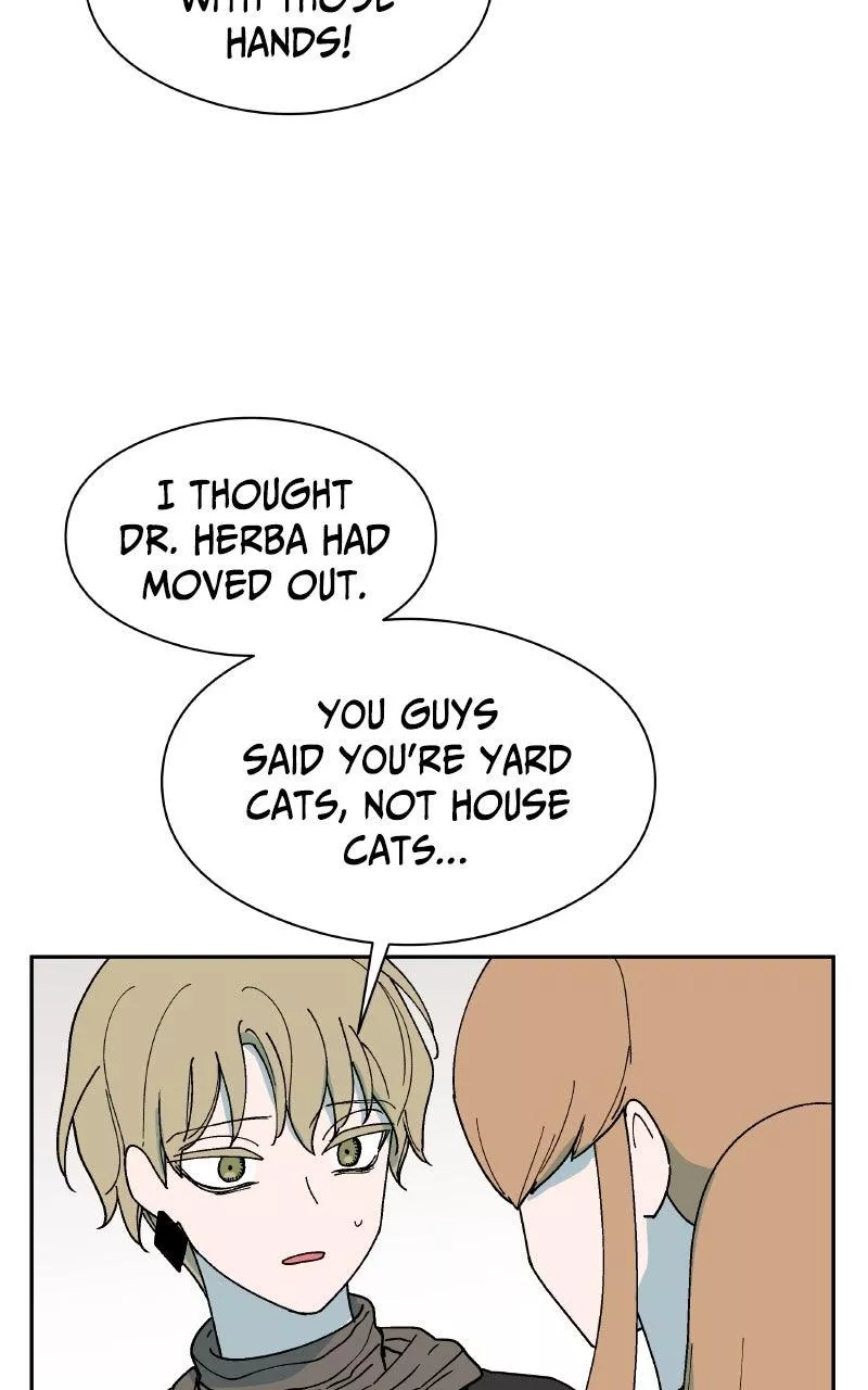 Read False Paradise ENGLISH Manga Online