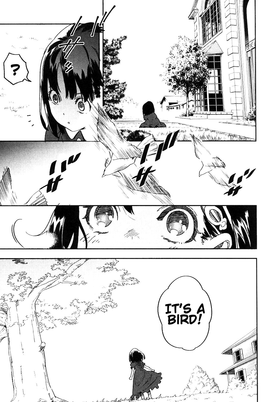 Read Fate Strange Fake ENGLISH Manga Online