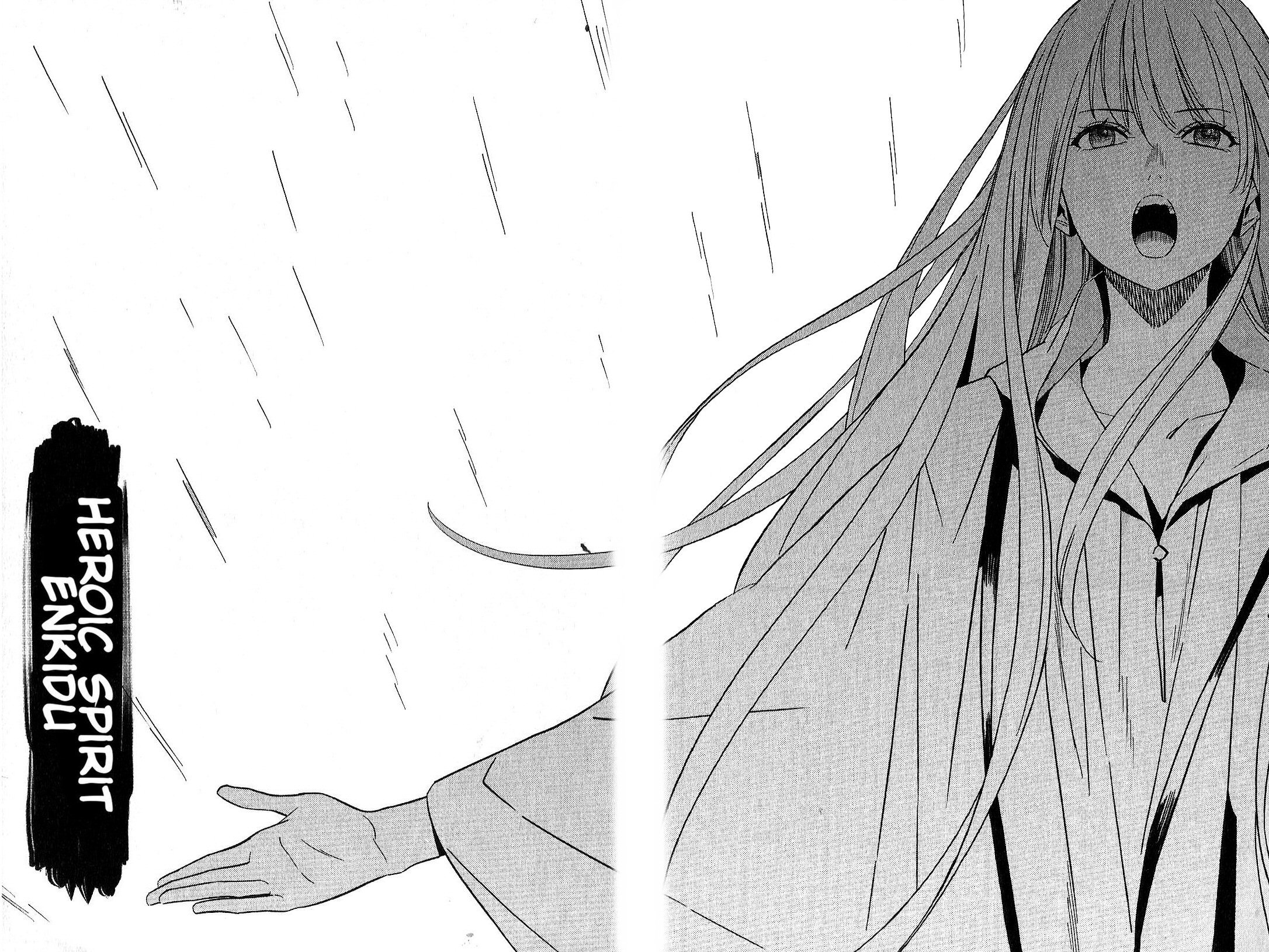 Read Fate Strange Fake ENGLISH Manga Online