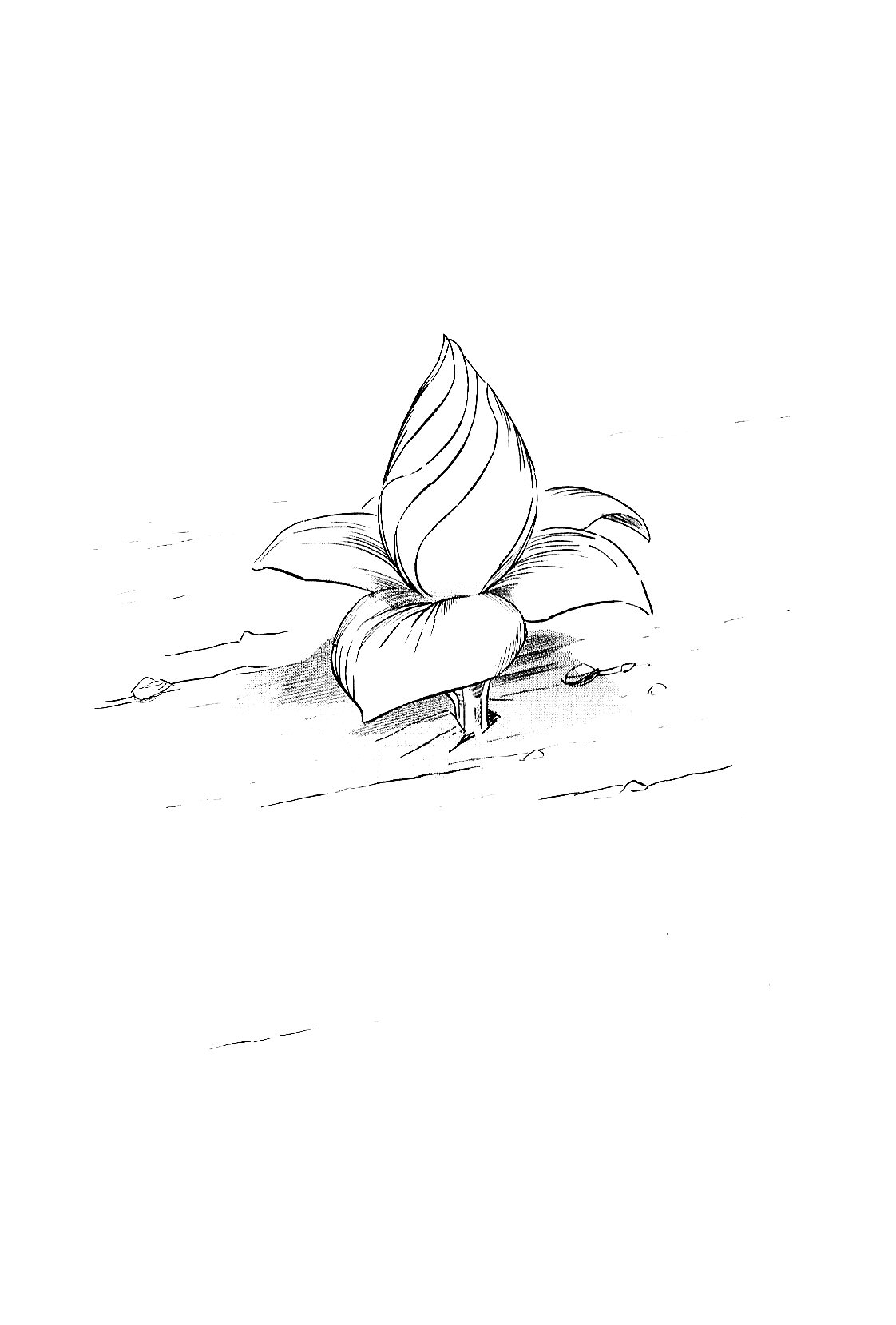 Read Fate Strange Fake ENGLISH Manga Online