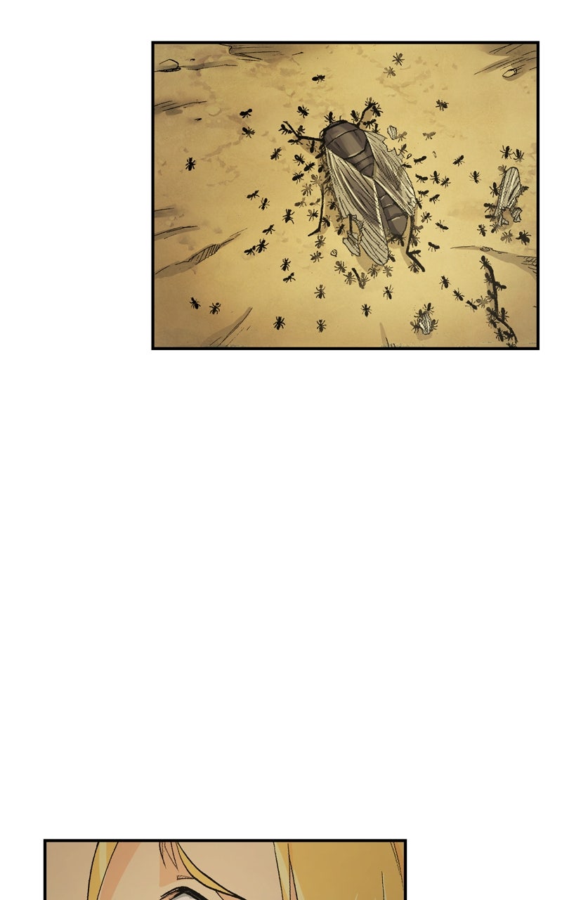 Read Fullmetal Alchemist ENGLISH Manga Online