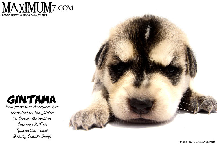 Read Gintama ENGLISH Manga Online