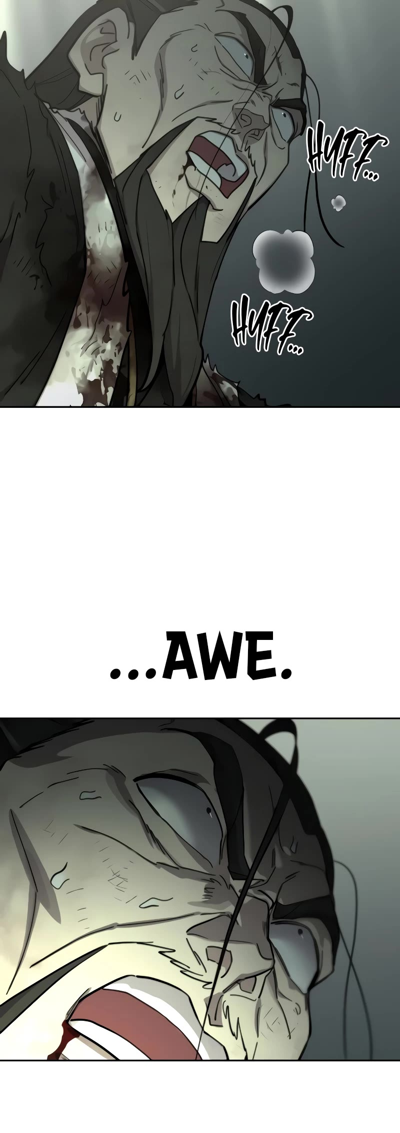 Read Return of the Mount Hua Sect ENGLISH Manga Online