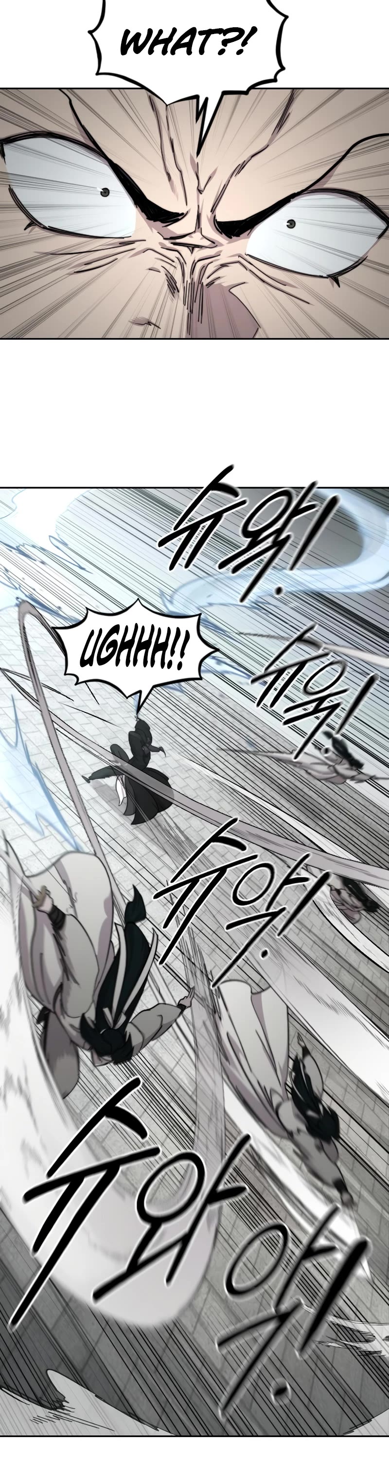 Read Return of the Mount Hua Sect ENGLISH Manga Online