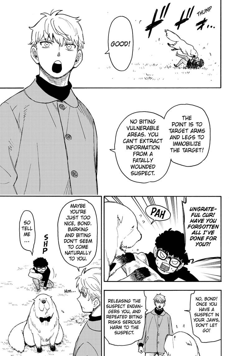 Read Spy x Family ENGLISH Manga Online