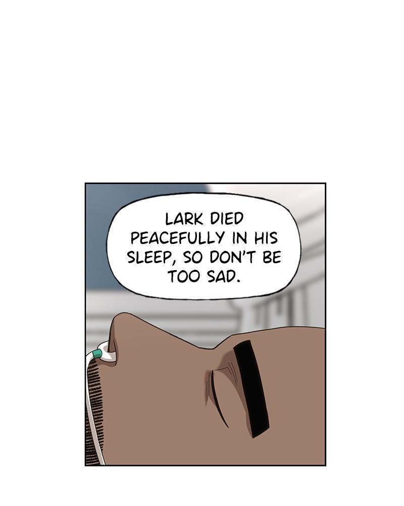 Read The Boxer ENGLISH Manga Online