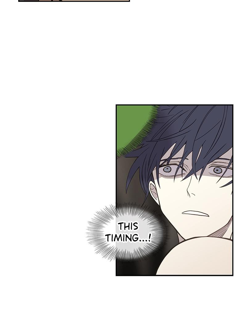 Read The Boxer ENGLISH Manga Online