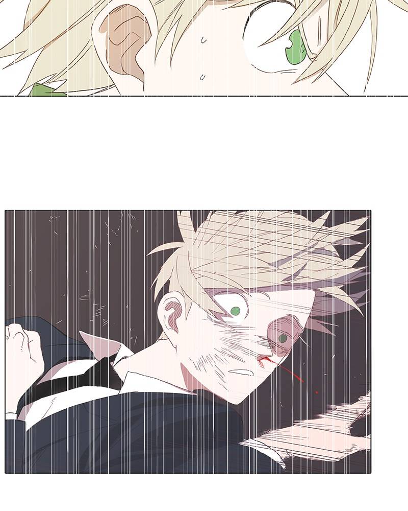 Read The Boxer ENGLISH Manga Online