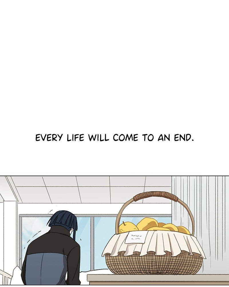 Read The Boxer ENGLISH Manga Online