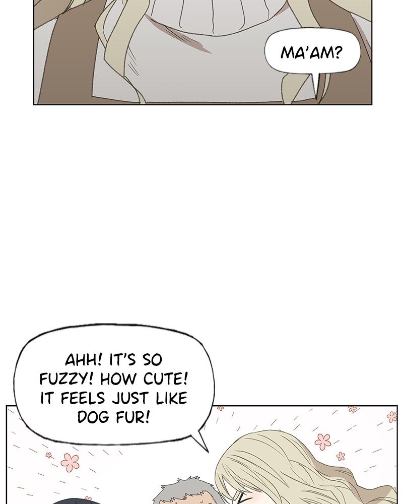 Read The Boxer ENGLISH Manga Online