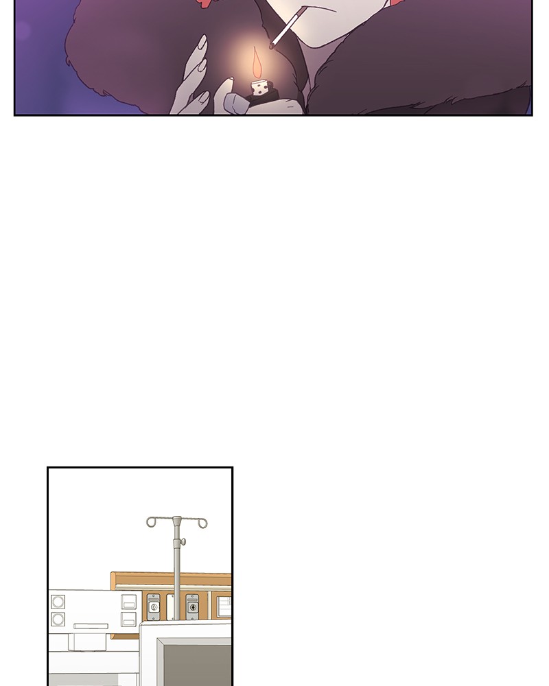 Read The Boxer ENGLISH Manga Online