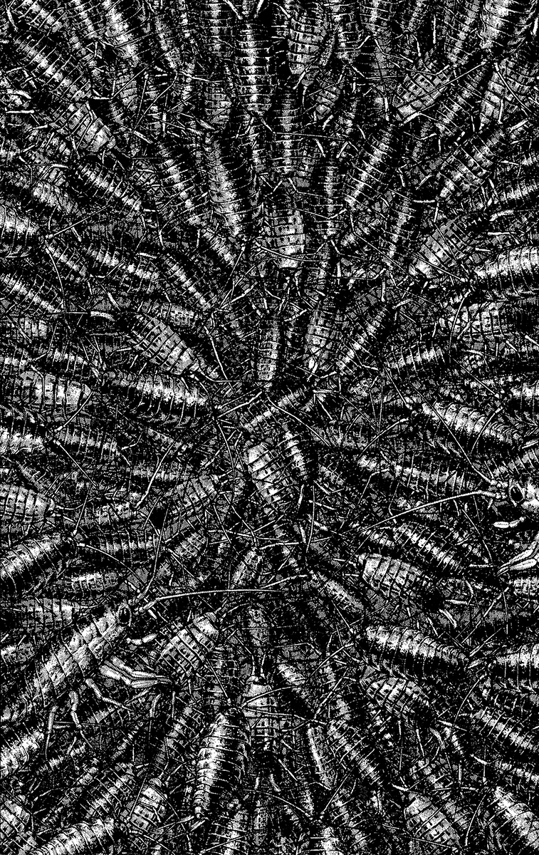 Read The Climber ENGLISH Manga Online