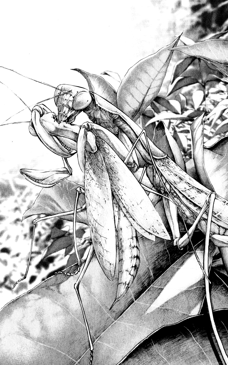 Read The Climber ENGLISH Manga Online