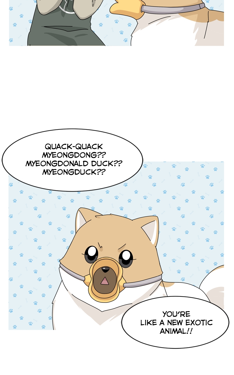 Read The Dog Diaries ENGLISH Manga Online